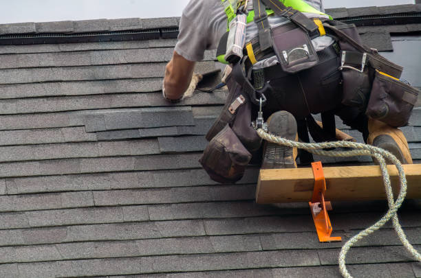 Reliable Roof Replacement contractor in Palm Springs, FL by Brentwood Metal Roofing